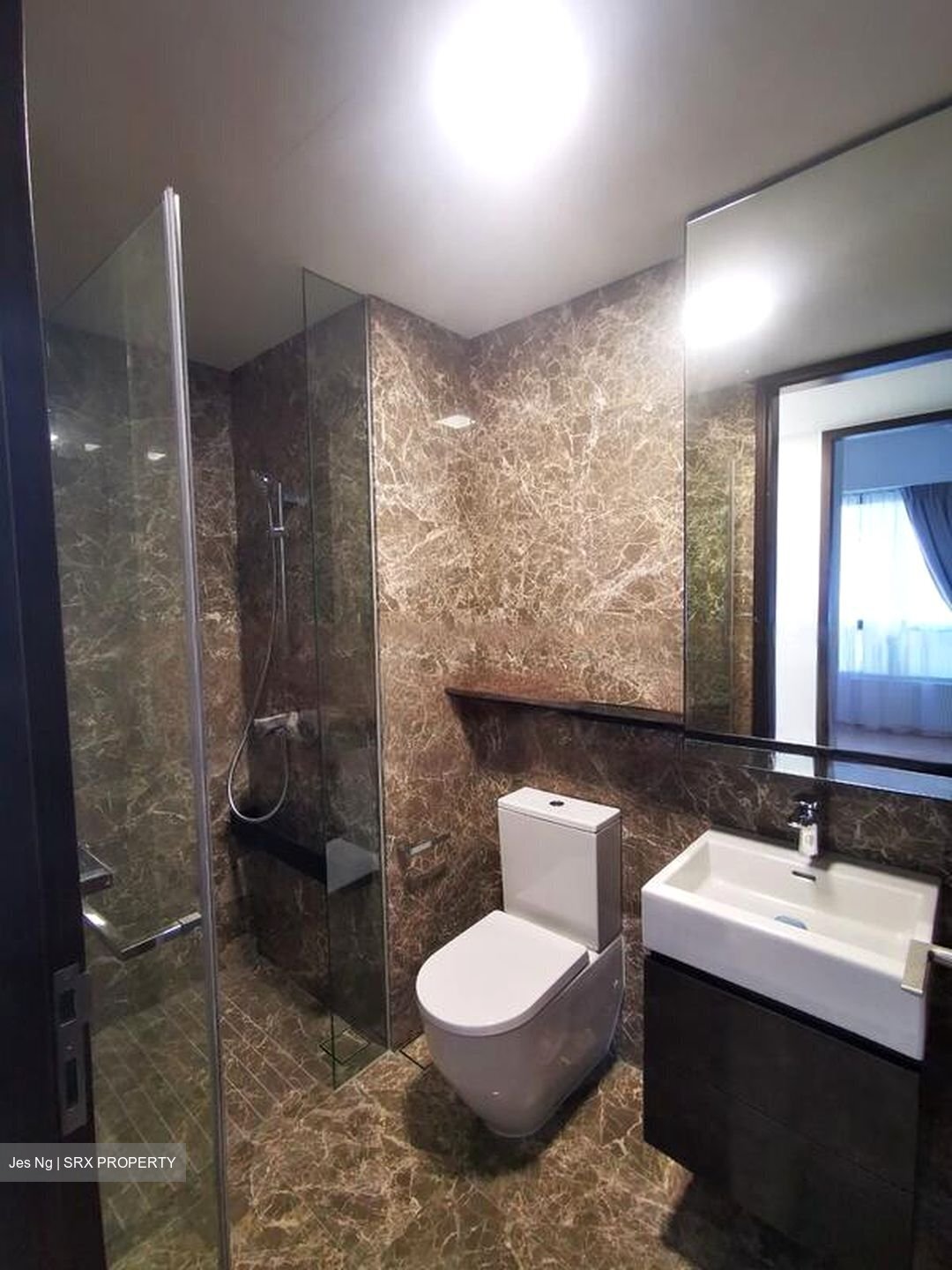 Amber 45 (D15), Apartment #455835991